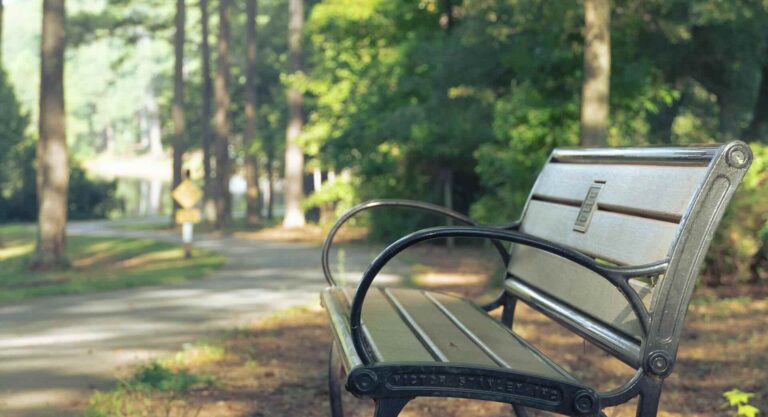 A bench is a word play about benchmarking databases.
